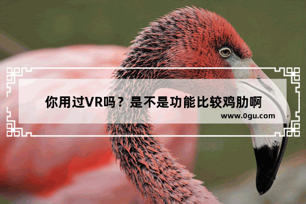 你用过VR吗？是不是功能比较鸡肋啊