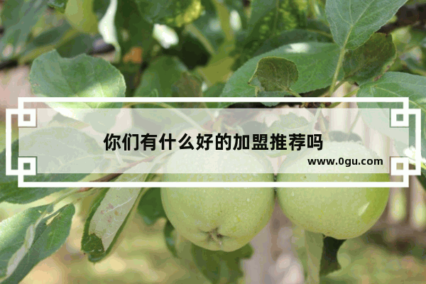 你们有什么好的加盟推荐吗