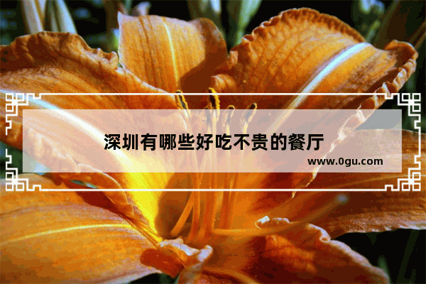 深圳有哪些好吃不贵的餐厅
