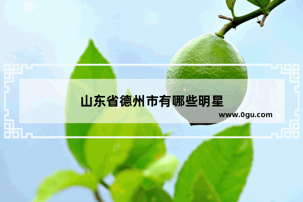 山东省德州市有哪些明星