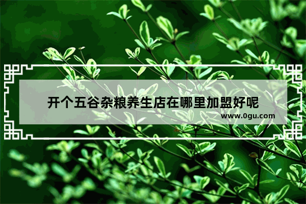开个五谷杂粮养生店在哪里加盟好呢
