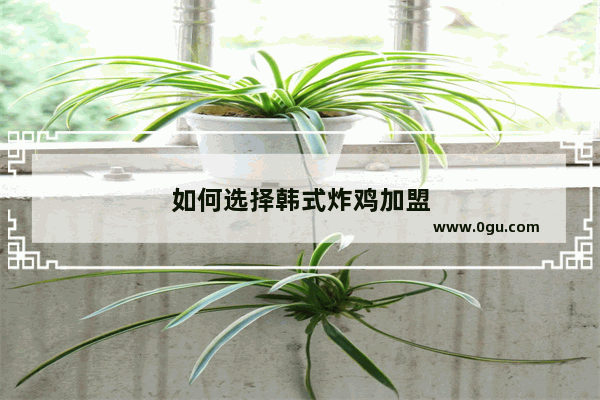 如何选择韩式炸鸡加盟