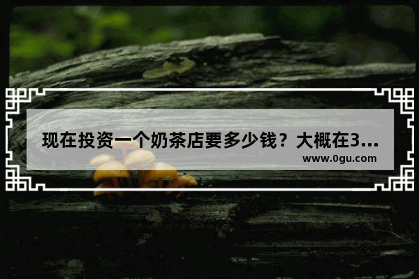 现在投资一个奶茶店要多少钱？大概在30个平方左右