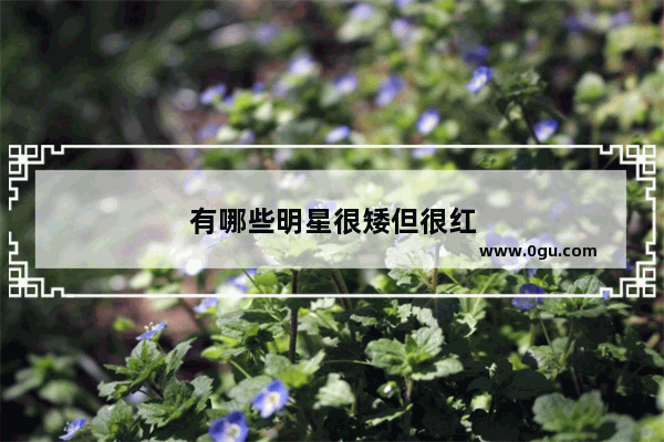 有哪些明星很矮但很红