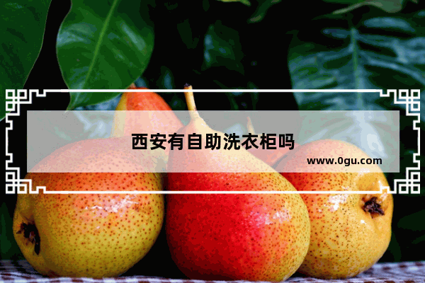 西安有自助洗衣柜吗
