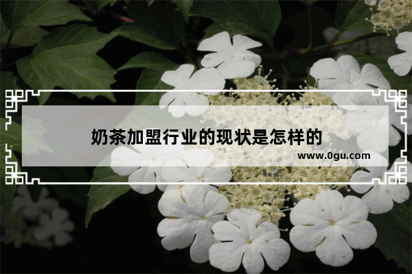 奶茶加盟行业的现状是怎样的