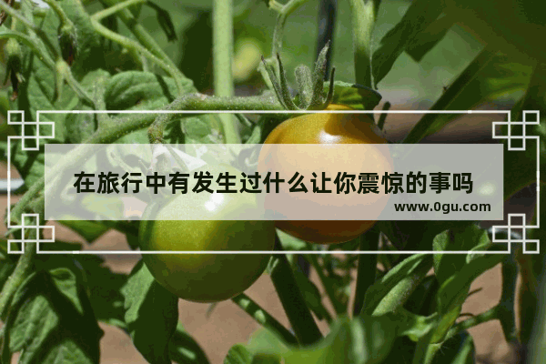 在旅行中有发生过什么让你震惊的事吗