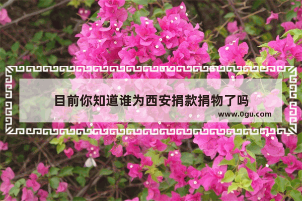 目前你知道谁为西安捐款捐物了吗