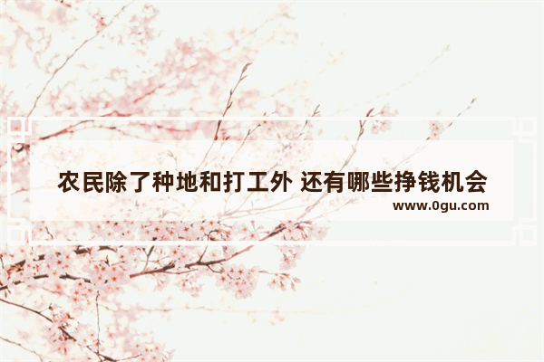 农民除了种地和打工外 还有哪些挣钱机会