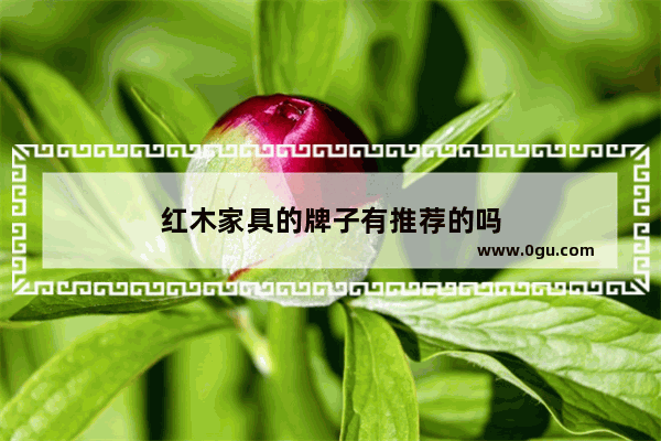 红木家具的牌子有推荐的吗