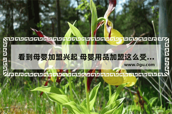 看到母婴加盟兴起 母婴用品加盟这么受欢迎了？也想加盟个牌子