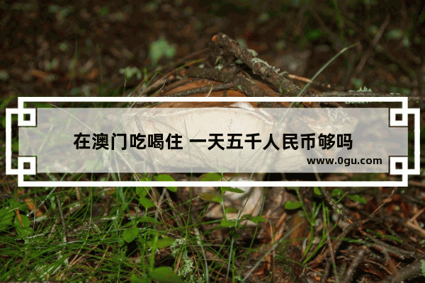 在澳门吃喝住 一天五千人民币够吗