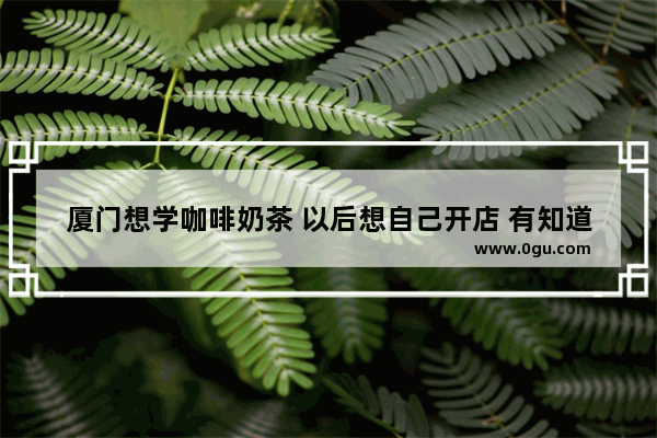 厦门想学咖啡奶茶 以后想自己开店 有知道在哪里学可以更好的吗