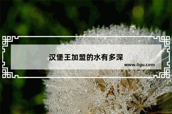 汉堡王加盟的水有多深