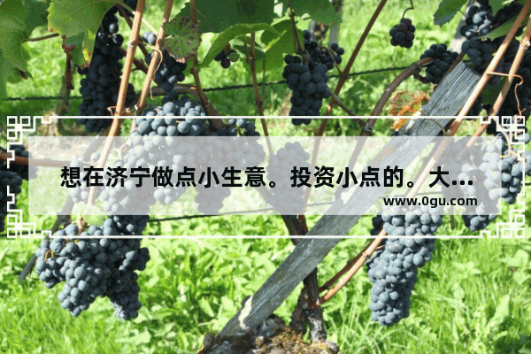 想在济宁做点小生意。投资小点的。大家给个建议