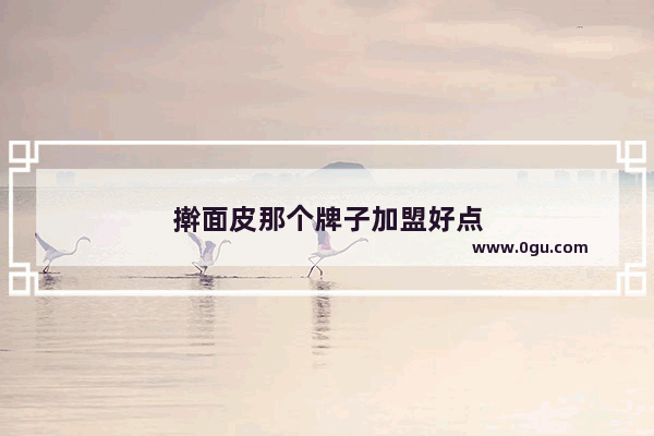 擀面皮那个牌子加盟好点