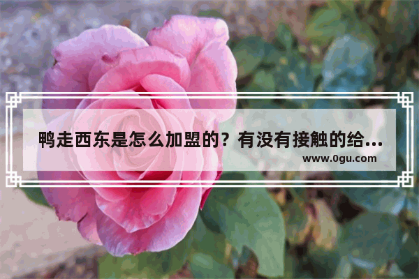 鸭走西东是怎么加盟的？有没有接触的给讲一下呀