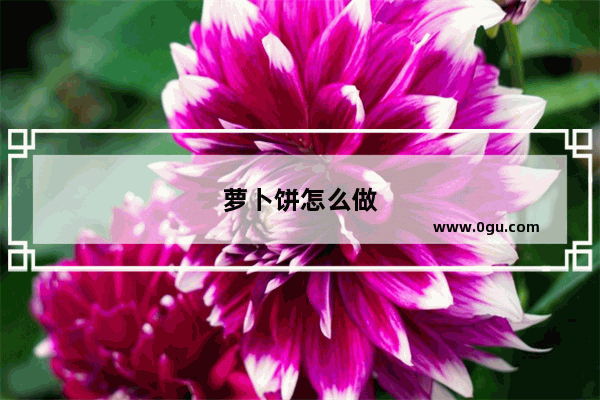 萝卜饼怎么做