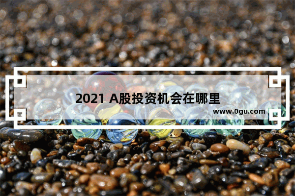 2021 A股投资机会在哪里