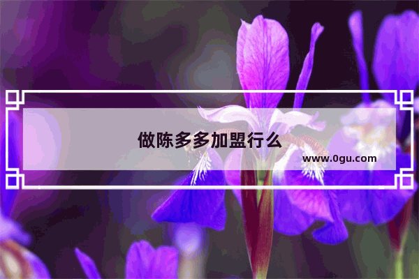 做陈多多加盟行么