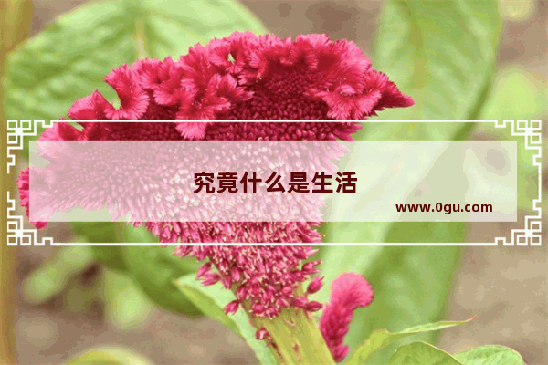 究竟什么是生活