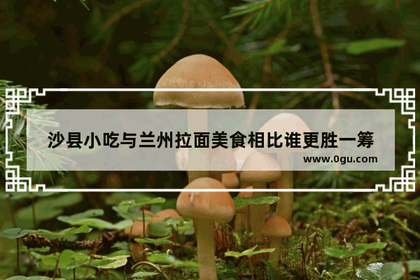 沙县小吃与兰州拉面美食相比谁更胜一筹