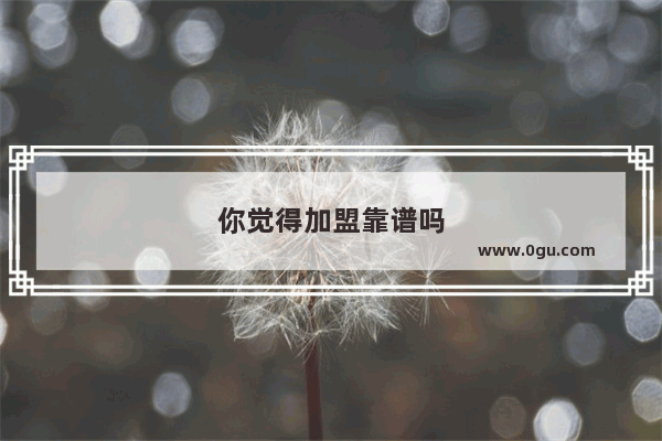你觉得加盟靠谱吗