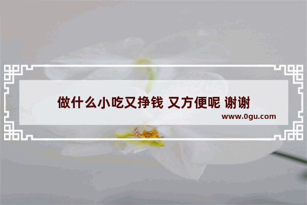 做什么小吃又挣钱 又方便呢 谢谢