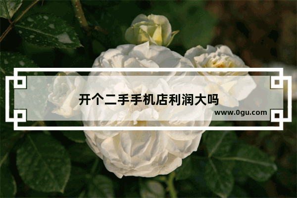 开个二手手机店利润大吗