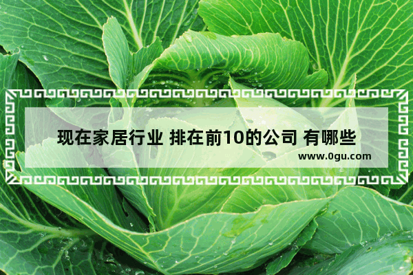 现在家居行业 排在前10的公司 有哪些