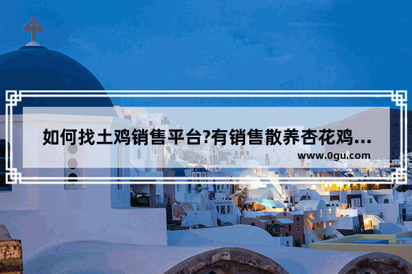 如何找土鸡销售平台?有销售散养杏花鸡的吗