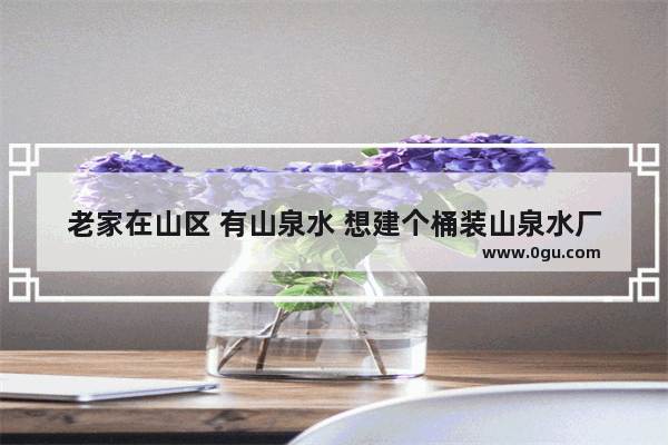 老家在山区 有山泉水 想建个桶装山泉水厂 有没有前途？大概需要投资多少