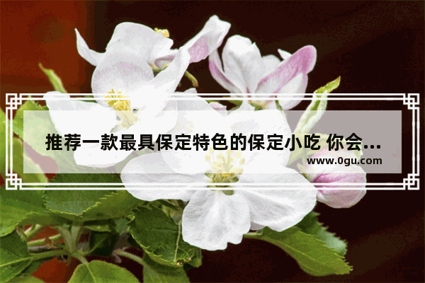 推荐一款最具保定特色的保定小吃 你会推荐什么