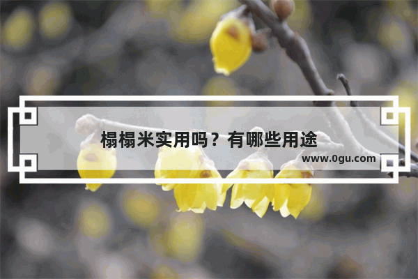 榻榻米实用吗？有哪些用途