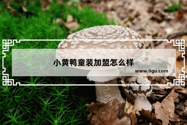 小黄鸭童装加盟怎么样