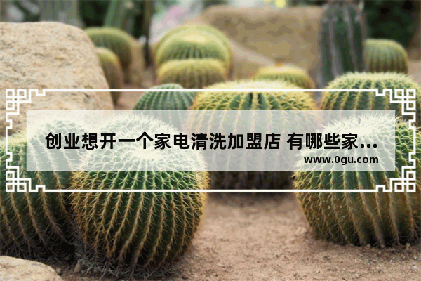 创业想开一个家电清洗加盟店 有哪些家电清洗品牌