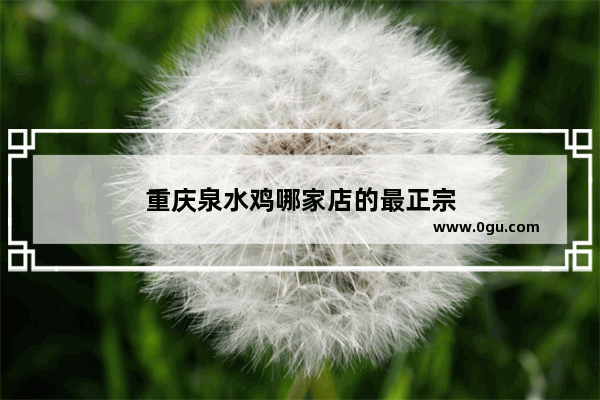 重庆泉水鸡哪家店的最正宗