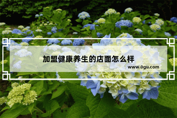 加盟健康养生的店面怎么样