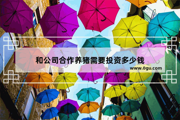 和公司合作养猪需要投资多少钱