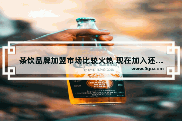 茶饮品牌加盟市场比较火热 现在加入还会有前景吗