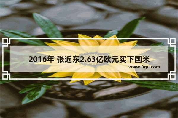 2016年 张近东2.63亿欧元买下国米68.5%股份 如今他赚了多少钱