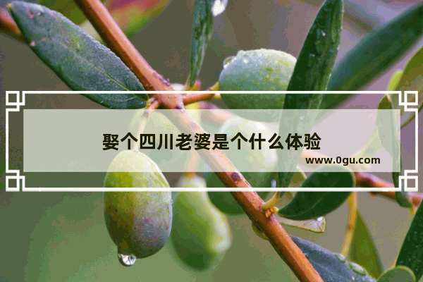 娶个四川老婆是个什么体验