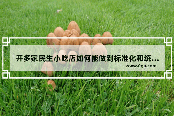开多家民生小吃店如何能做到标准化和统一管理