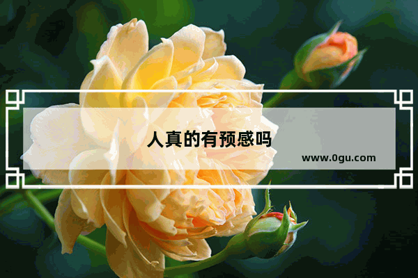 人真的有预感吗
