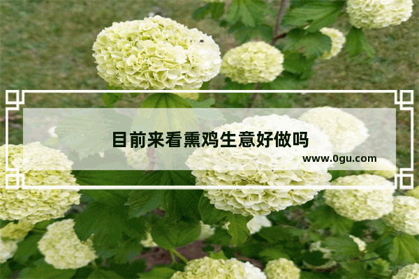 目前来看熏鸡生意好做吗