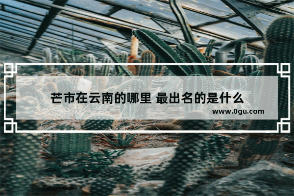 芒市在云南的哪里 最出名的是什么