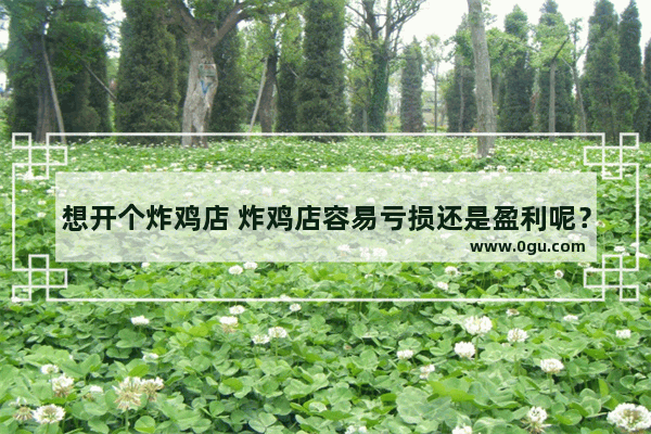 想开个炸鸡店 炸鸡店容易亏损还是盈利呢？是加盟好还是不加盟