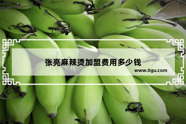 张亮麻辣烫加盟费用多少钱