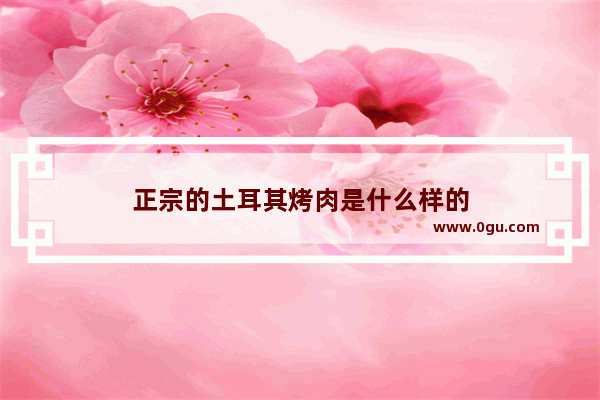 正宗的土耳其烤肉是什么样的