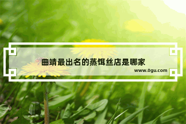 曲靖最出名的蒸饵丝店是哪家